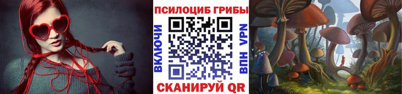 МЕГА сайт Курск Галлюциногенные грибы Psilocybe дарнет шоп