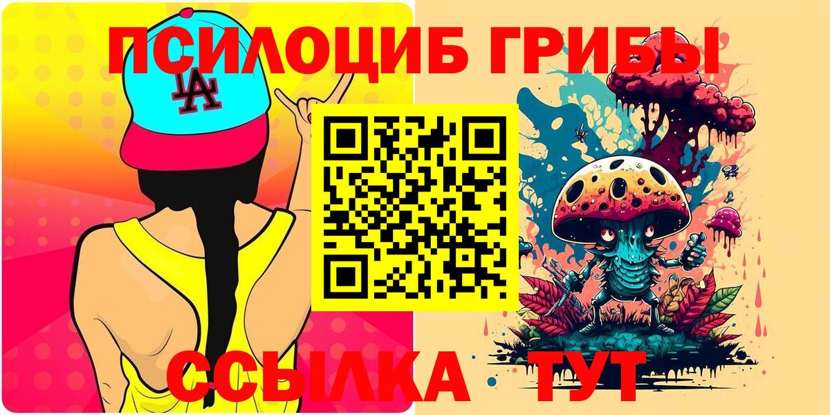 Галлюциногенные грибы Psilocybe Курск