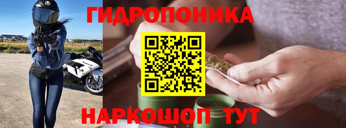 Шишки марихуана Amnesia  Бошки марихуана VHQ  Вход с VPN  Курск  Шишки марихуана конопля  МАРИХУАНА VHQ 